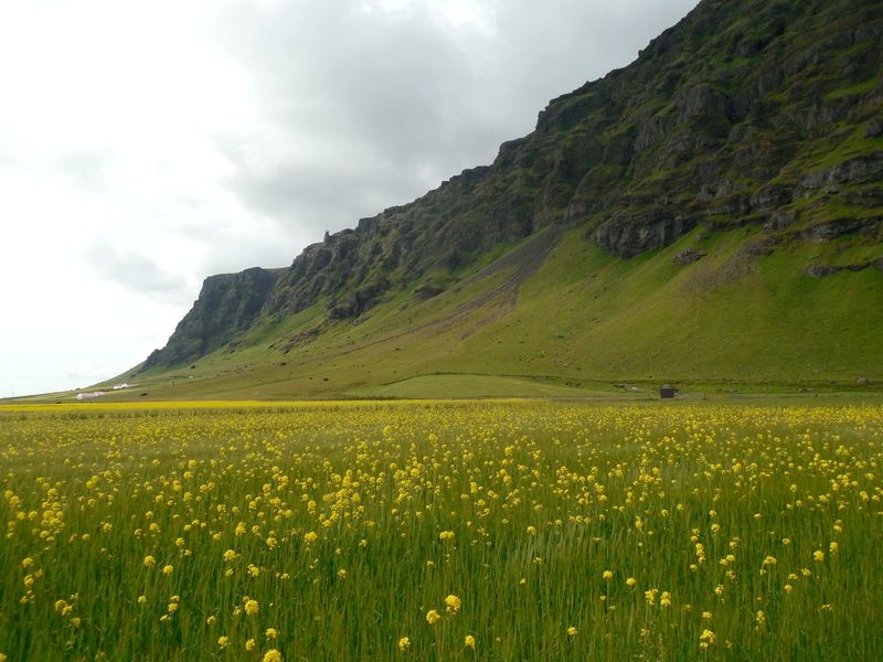 11 дней вокруг Исландии летом 2015