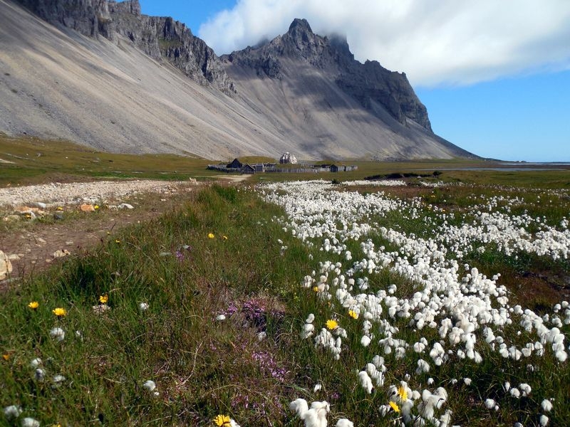 11 дней вокруг Исландии летом 2015