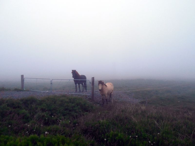 11 дней вокруг Исландии летом 2015