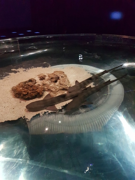 Лазурный берег в октябре