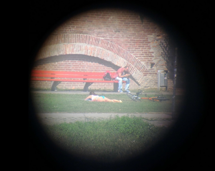 Мудрый воробей, недремлющий лев и букет для Санта-Клауса (Ульм - Линдау - остров Майнау)