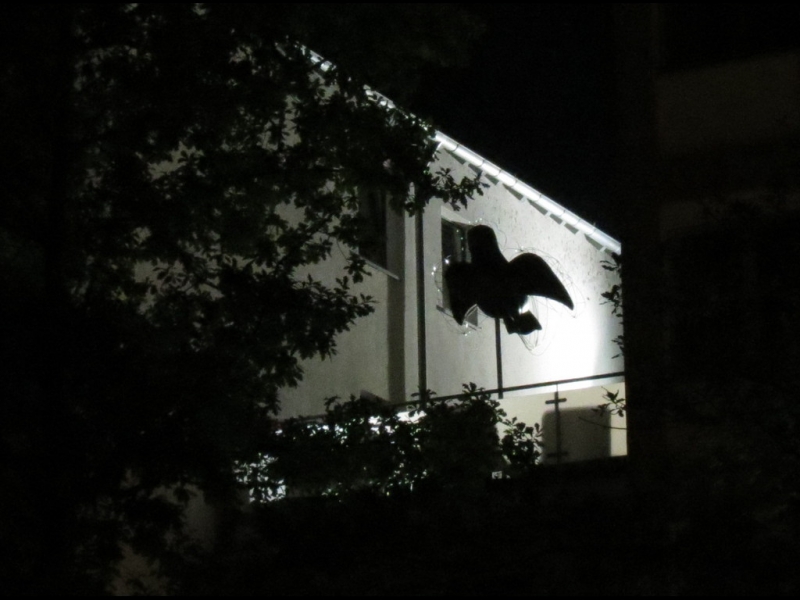 Мудрый воробей, недремлющий лев и букет для Санта-Клауса (Ульм - Линдау - остров Майнау)