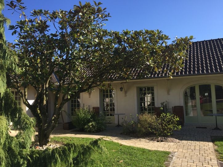 В Европу: в гости к Босху – май 2016.