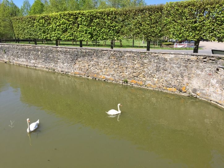 В Европу: в гости к Босху – май 2016.