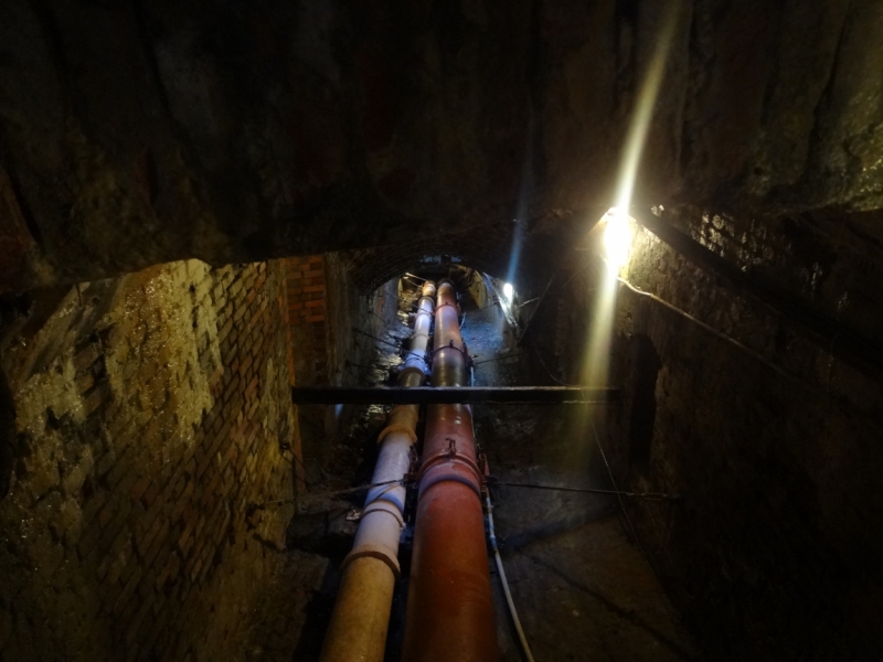 7 дней в Питере и не только (автопутешествие)