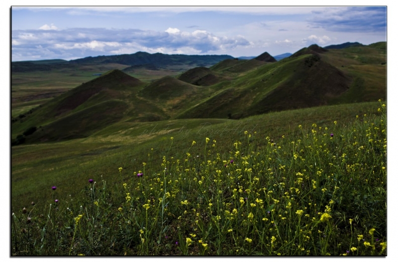 Здесь всё можно - это же Грузия! На авто по основным местам страны. Июнь 2016.