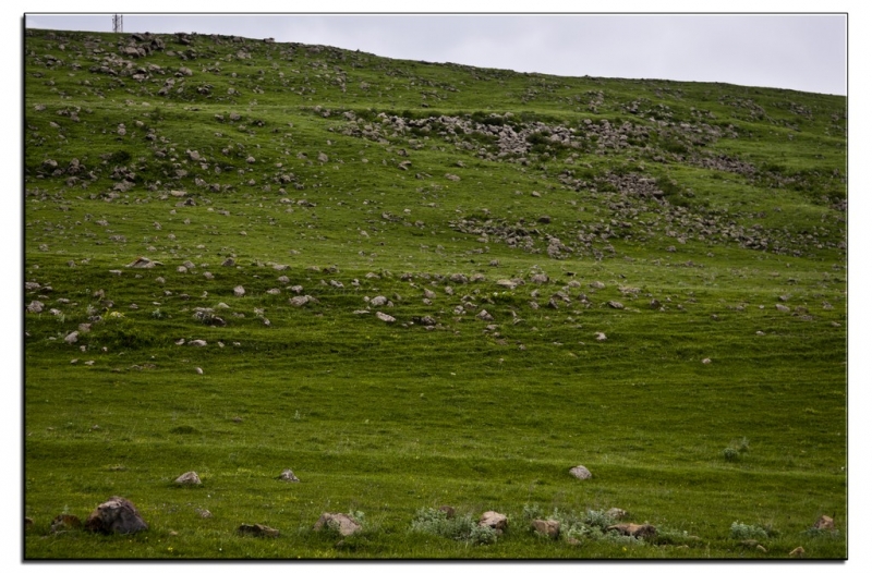Здесь всё можно - это же Грузия! На авто по основным местам страны. Июнь 2016.
