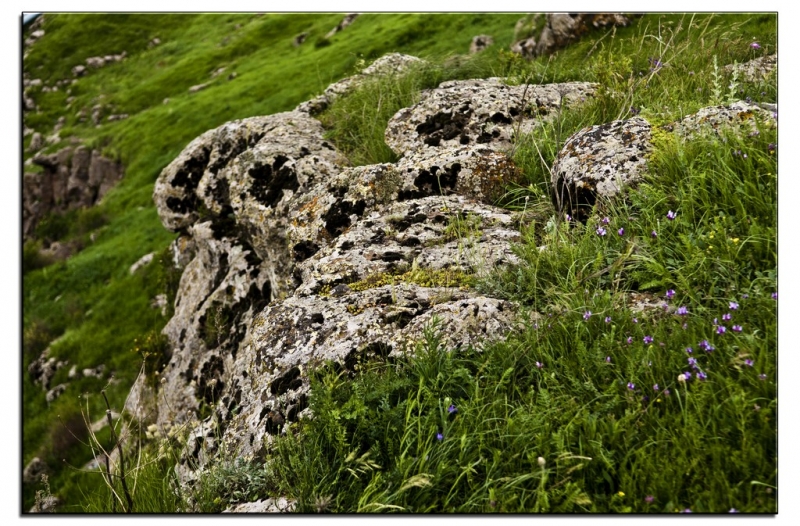 Здесь всё можно - это же Грузия! На авто по основным местам страны. Июнь 2016.