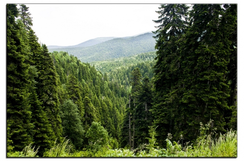 Здесь всё можно - это же Грузия! На авто по основным местам страны. Июнь 2016.