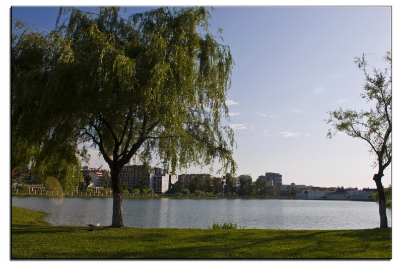 Здесь всё можно - это же Грузия! На авто по основным местам страны. Июнь 2016.