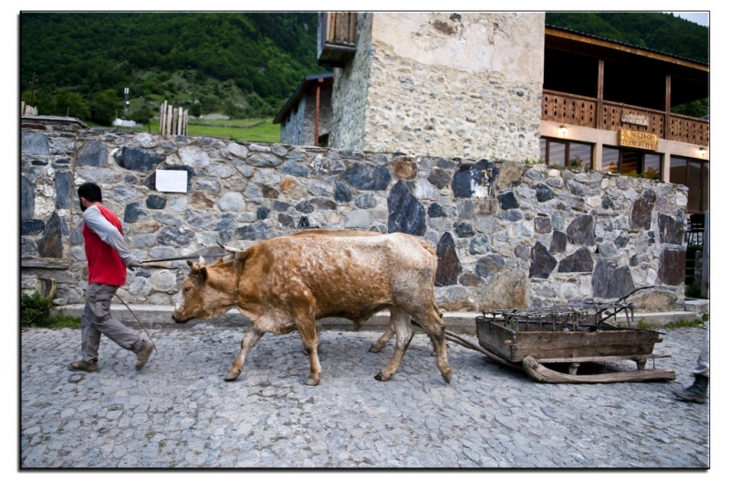 Здесь всё можно - это же Грузия! На авто по основным местам страны. Июнь 2016.