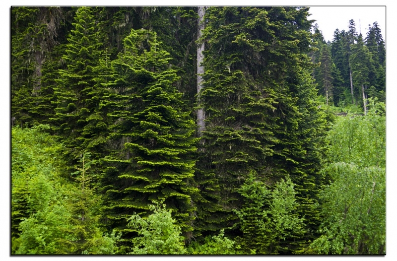 Здесь всё можно - это же Грузия! На авто по основным местам страны. Июнь 2016.