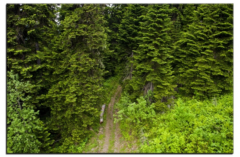 Здесь всё можно - это же Грузия! На авто по основным местам страны. Июнь 2016.