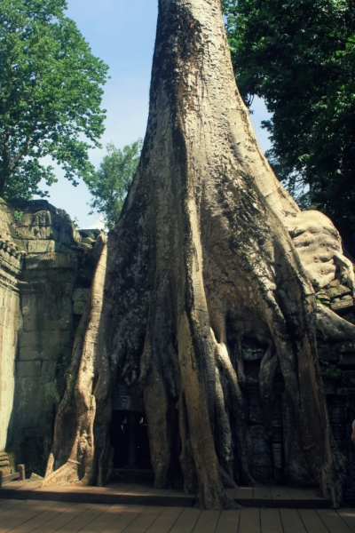 Первый раз самостоятельно в ЮВА: Бангкок, Сиемреап, Самуи