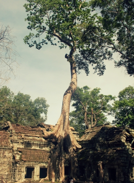 Первый раз самостоятельно в ЮВА: Бангкок, Сиемреап, Самуи
