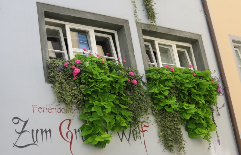 Мудрый воробей, недремлющий лев и букет для Санта-Клауса (Ульм - Линдау - остров Майнау)