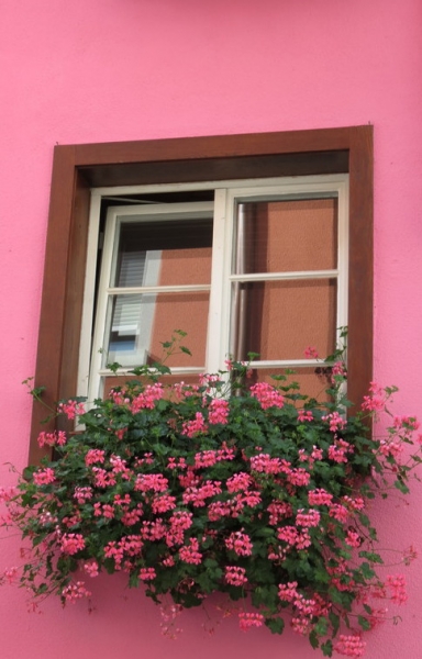 Мудрый воробей, недремлющий лев и букет для Санта-Клауса (Ульм - Линдау - остров Майнау)