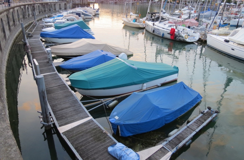 Мудрый воробей, недремлющий лев и букет для Санта-Клауса (Ульм - Линдау - остров Майнау)