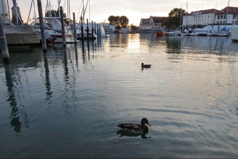 Мудрый воробей, недремлющий лев и букет для Санта-Клауса (Ульм - Линдау - остров Майнау)