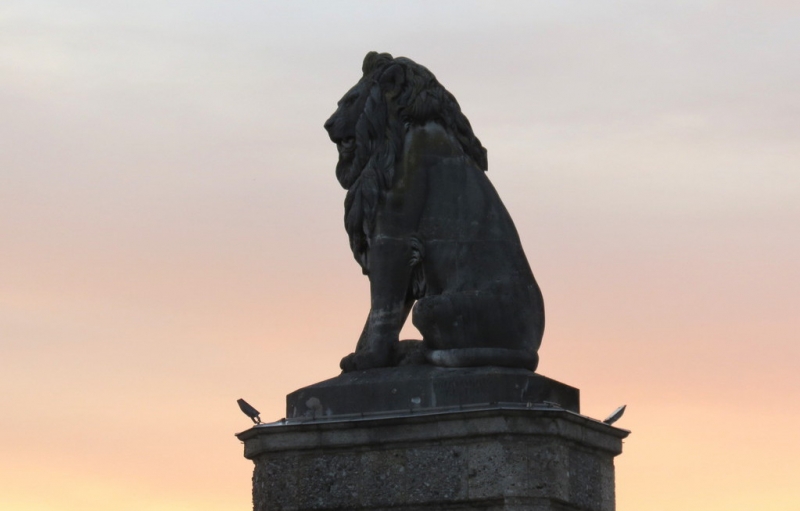 Мудрый воробей, недремлющий лев и букет для Санта-Клауса (Ульм - Линдау - остров Майнау)