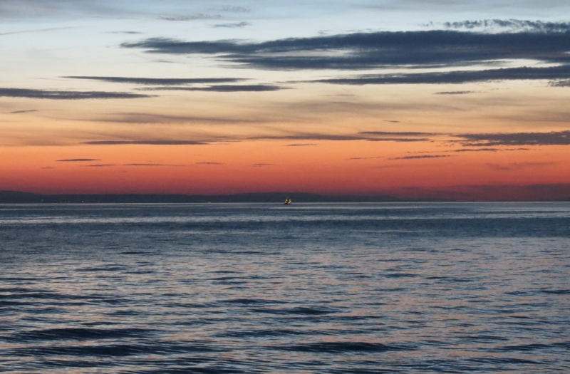 Мудрый воробей, недремлющий лев и букет для Санта-Клауса (Ульм - Линдау - остров Майнау)