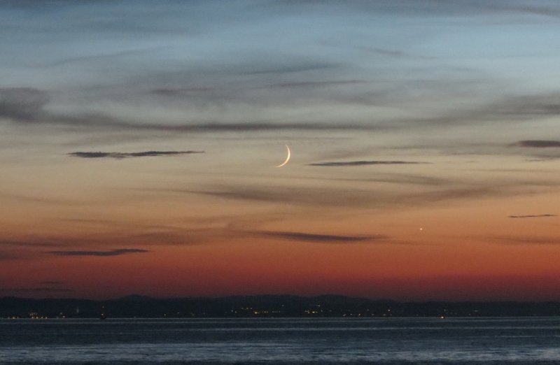 Мудрый воробей, недремлющий лев и букет для Санта-Клауса (Ульм - Линдау - остров Майнау)