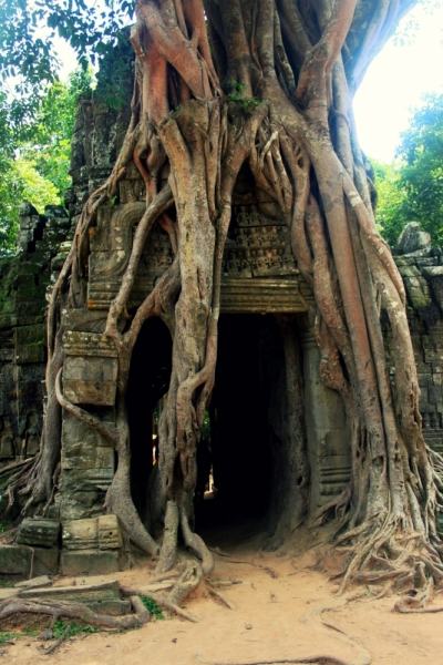 Первый раз самостоятельно в ЮВА: Бангкок, Сиемреап, Самуи