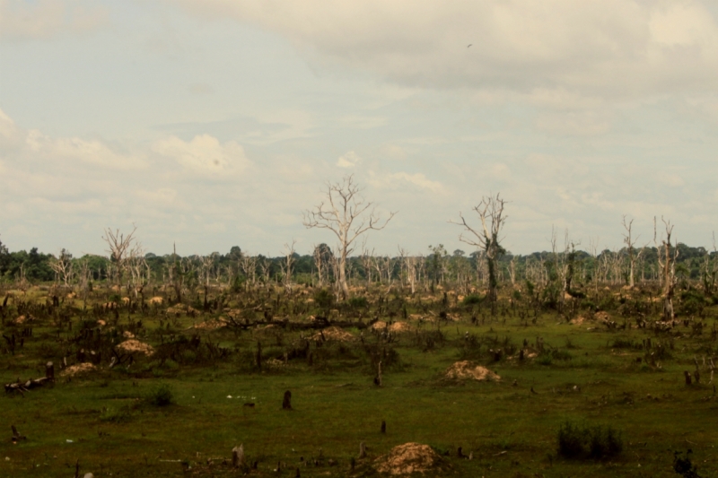 Первый раз самостоятельно в ЮВА: Бангкок, Сиемреап, Самуи