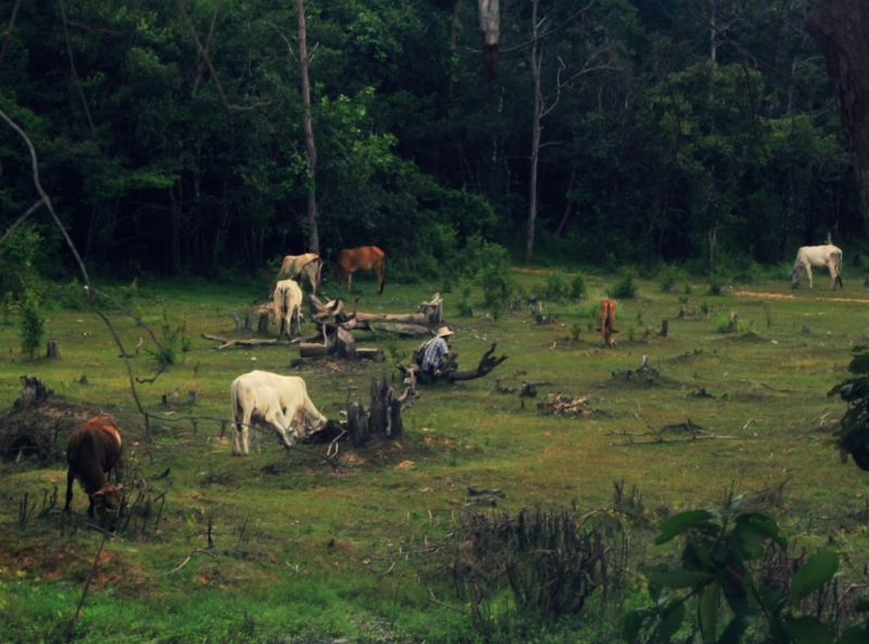 Первый раз самостоятельно в ЮВА: Бангкок, Сиемреап, Самуи