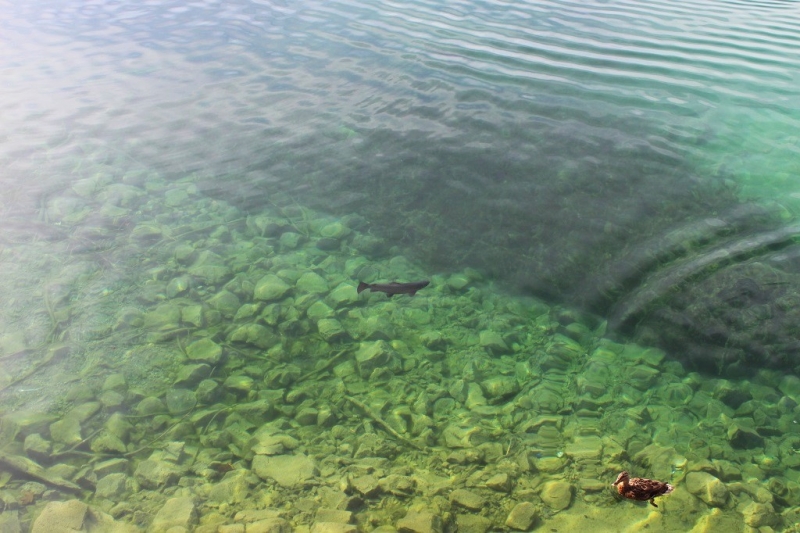 Заманчивая Бавария в октябре. 2016