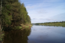 Нёман под Ивье