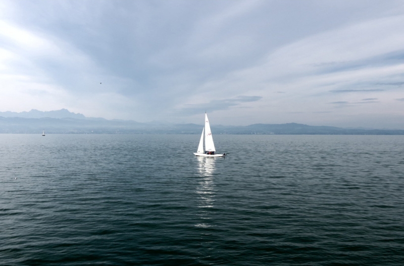 Мудрый воробей, недремлющий лев и букет для Санта-Клауса (Ульм - Линдау - остров Майнау)