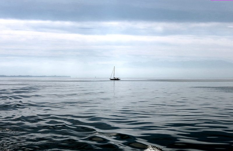 Мудрый воробей, недремлющий лев и букет для Санта-Клауса (Ульм - Линдау - остров Майнау)