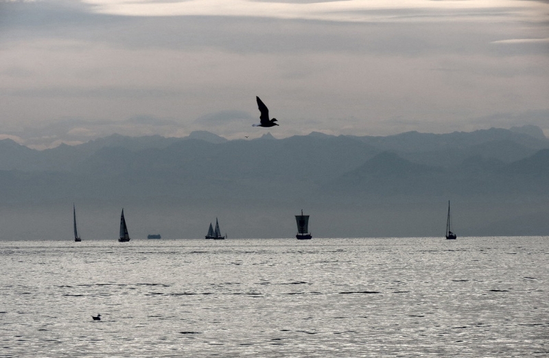 Мудрый воробей, недремлющий лев и букет для Санта-Клауса (Ульм - Линдау - остров Майнау)