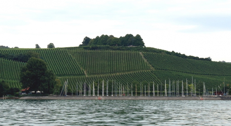 Мудрый воробей, недремлющий лев и букет для Санта-Клауса (Ульм - Линдау - остров Майнау)