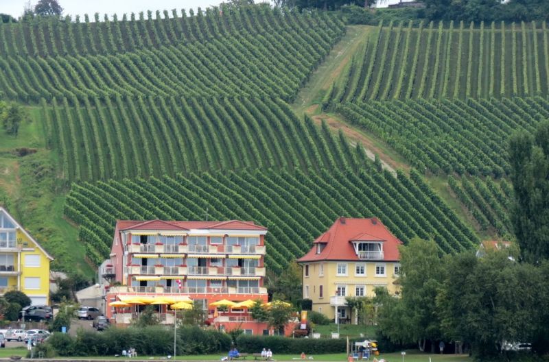 Мудрый воробей, недремлющий лев и букет для Санта-Клауса (Ульм - Линдау - остров Майнау)