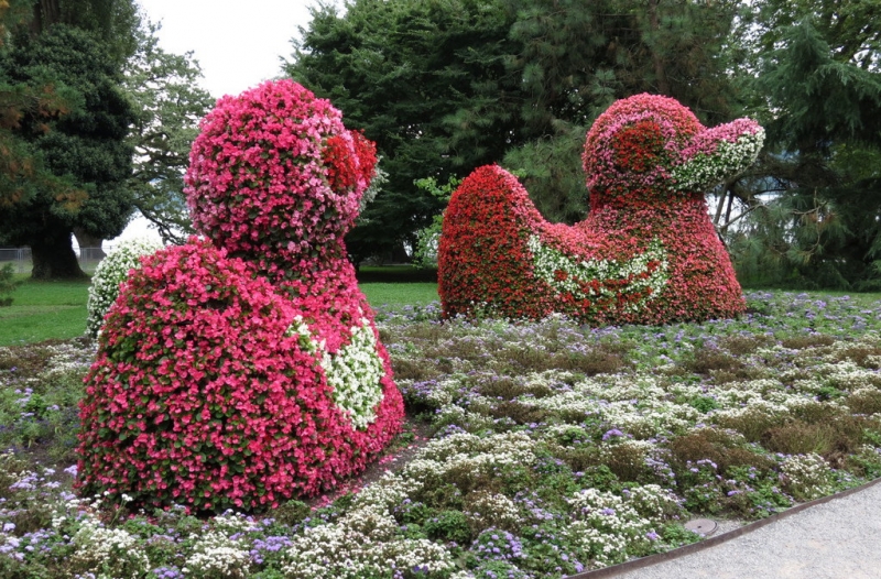 Мудрый воробей, недремлющий лев и букет для Санта-Клауса (Ульм - Линдау - остров Майнау)
