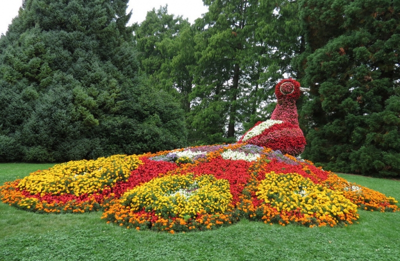 Мудрый воробей, недремлющий лев и букет для Санта-Клауса (Ульм - Линдау - остров Майнау)