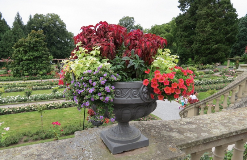 Мудрый воробей, недремлющий лев и букет для Санта-Клауса (Ульм - Линдау - остров Майнау)