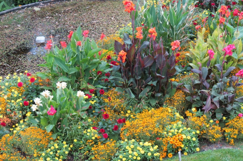 Мудрый воробей, недремлющий лев и букет для Санта-Клауса (Ульм - Линдау - остров Майнау)