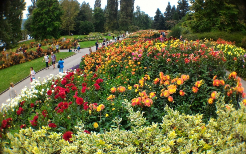 Мудрый воробей, недремлющий лев и букет для Санта-Клауса (Ульм - Линдау - остров Майнау)