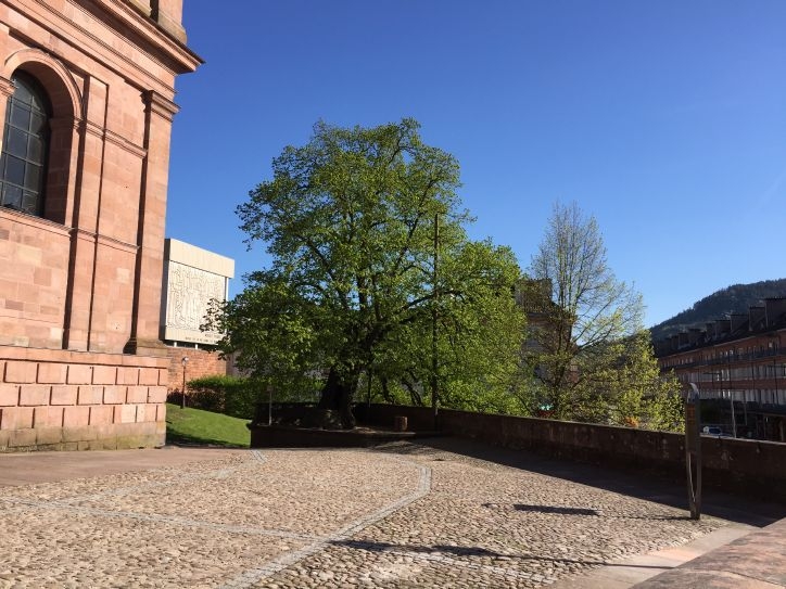 В Европу: в гости к Босху – май 2016.