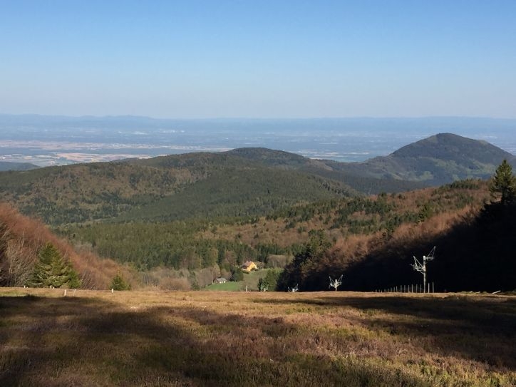 В Европу: в гости к Босху – май 2016.
