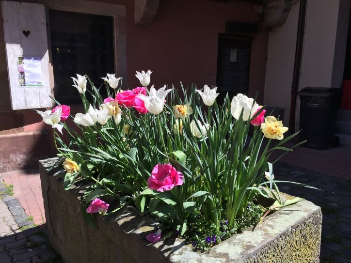 В Европу: в гости к Босху – май 2016.