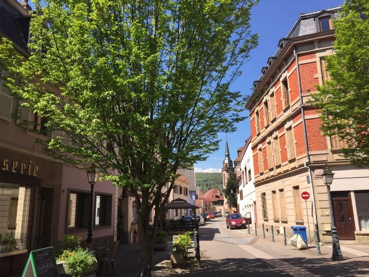 В Европу: в гости к Босху – май 2016.