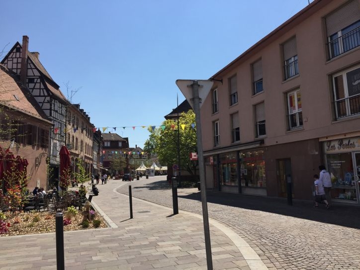 В Европу: в гости к Босху – май 2016.