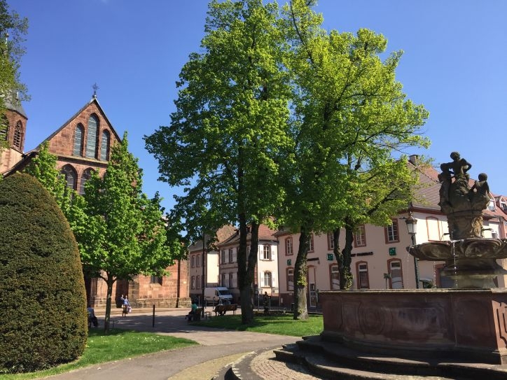 В Европу: в гости к Босху – май 2016.