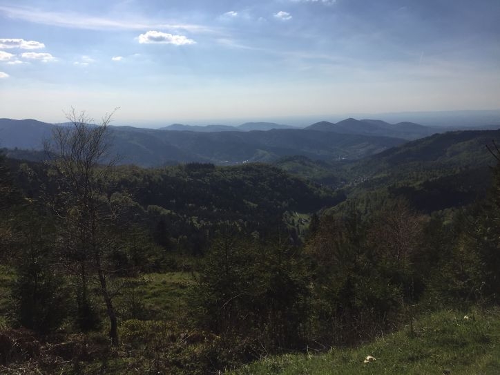 В Европу: в гости к Босху – май 2016.