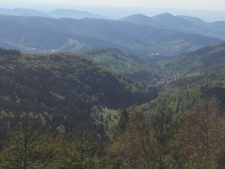 В Европу: в гости к Босху – май 2016.