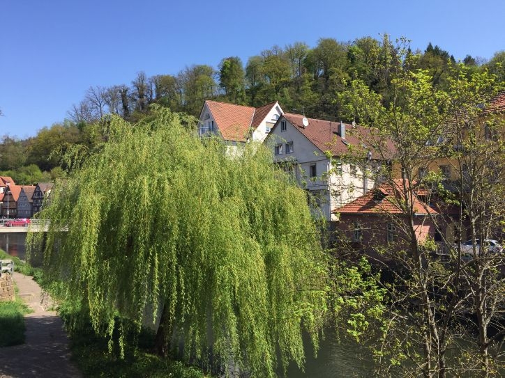 В Европу: в гости к Босху – май 2016.